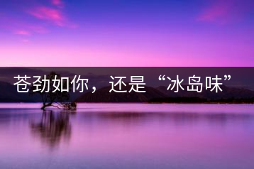 蒼勁如你，還是“冰島味”嗎？