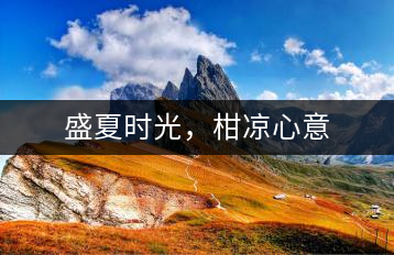 盛夏時光，柑涼心意