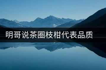 明哥說茶圈枝柑代表品質(zhì)高點(diǎn)，是玩家級(jí)的產(chǎn)品
