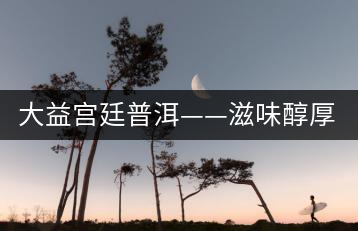 大益宮廷普洱——滋味醇厚，陳香濃郁