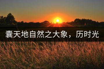 囊天地自然之大象，歷時(shí)光十載流轉(zhuǎn)-皇茶一號