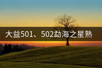 大益501、502勐海之星熟茶