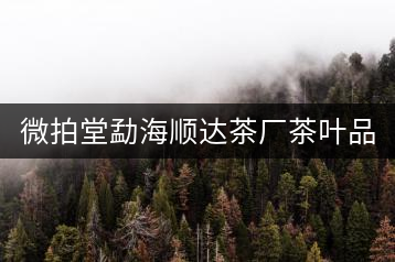 微拍堂勐海順達(dá)茶廠茶葉品質(zhì)如何？