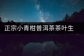 正宗小青柑普洱茶茶葉生曬新會特級柑普熟茶陳皮桔普木冠散裝罐裝