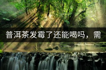 普洱茶發(fā)霉了還能喝嗎，需要怎么處理？