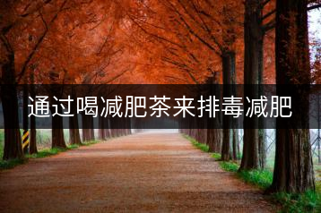 通過喝減肥茶來排毒減肥