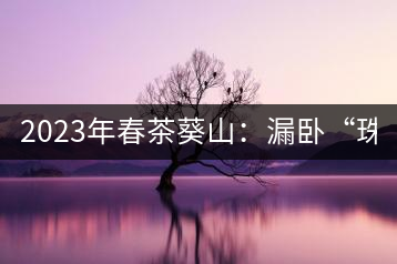 2023年春茶葵山：漏臥“珠江紅：1200元-3200元（有3個檔次）漏臥“大廠茶”：古樹單株8600-9000元／公斤，中樹4800-5200元／公斤，小樹混采2600-2800元／公斤。
