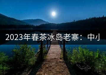2023年春茶冰島老寨：中小樹混采2500-3000元／公斤，大樹：7000-8000元／公斤，古樹混采：28000-36000元／公斤