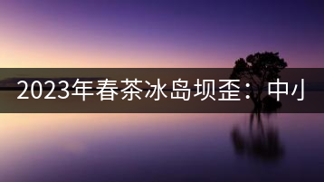 2023年春茶冰島壩歪：中小樹800元／公斤，古樹1400-1600元／公斤