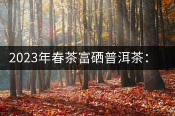 2023年春茶富硒普洱茶：1.富硒有機手工生普，市場指導(dǎo)價800元／公斤；2.富硒有機一級紅茶，市場指導(dǎo)價800元／公斤；3.富硒有機熟普餅，市場指導(dǎo)價1000元／公斤；4.富硒有機月光白茶，市場指導(dǎo)價800元／公斤。