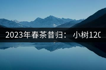 2023年春茶昔歸： 小樹1200-1600元／公斤，大樹4500-5200元／公斤，古樹7500-9000元／公斤.