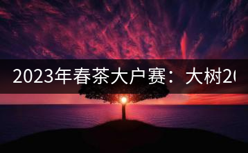 2023年春茶大戶賽：大樹200-300元／公斤，古樹800-1000元／公斤