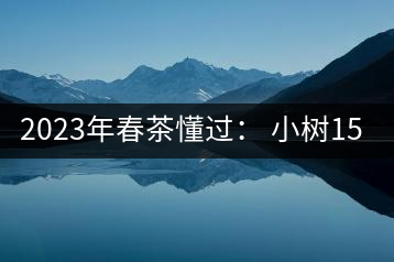2023年春茶懂過： 小樹150元／公斤, 古樹400-600元／公斤