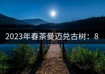 2023年春茶曼邁兌古樹(shù)：860元／Kg，小樹(shù)：180元／kg