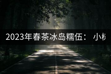 2023年春茶冰島糯伍： 小樹1300元／公斤，古樹：2100~2300元／公斤