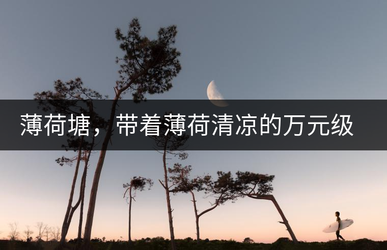 薄荷塘，帶著薄荷清涼的萬元級普洱