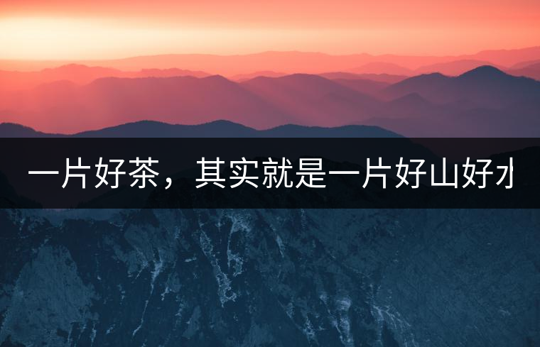 一片好茶，其實就是一片好山好水...一片好茶，其實就是一片好山好水...