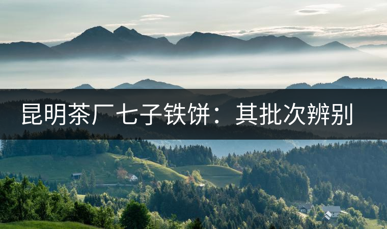 昆明茶廠七子鐵餅：其批次辨別、配方、年份大盤點(diǎn)！