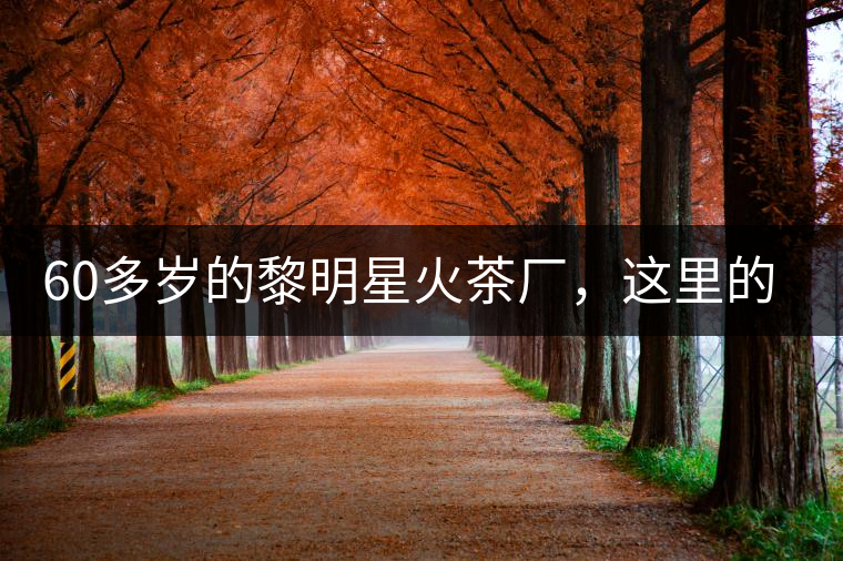 60多歲的黎明星火茶廠，這里的人依然在做茶