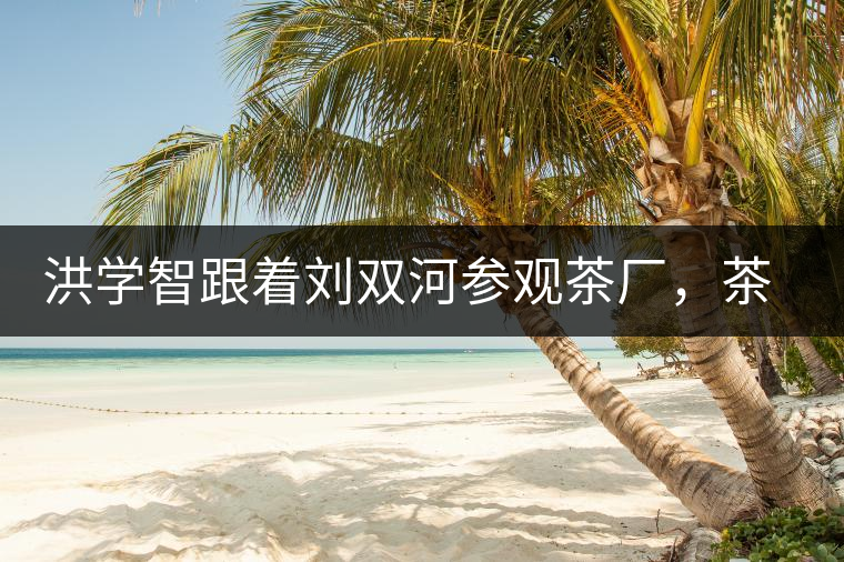 洪學(xué)智跟著劉雙河參觀茶廠，茶廠黃老板對賣苦力的百姓百般欺凌