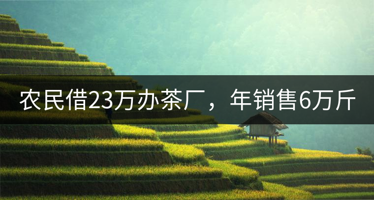 農(nóng)民借23萬辦茶廠，年銷售6萬斤，每天休息僅20分鐘!農(nóng)民借23萬辦茶廠，年銷售6萬斤，每天休息僅20分鐘！