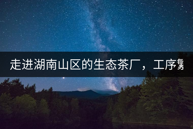 走進(jìn)湖南山區(qū)的生態(tài)茶廠，工序繁雜精細(xì)，538塊錢1斤真值走進(jìn)湖南山區(qū)的生態(tài)茶廠，工序繁雜精細(xì)，538塊錢1斤真值