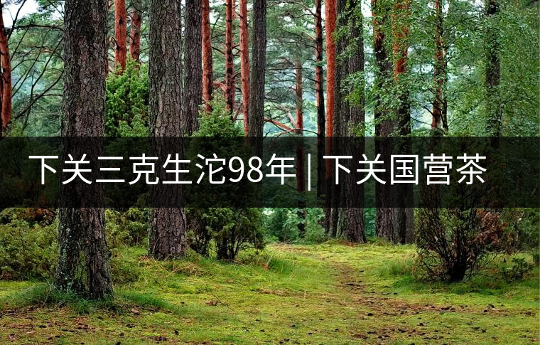 下關(guān)三克生沱98年 | 下關(guān)國營茶廠出口料，干倉儲存，...下關(guān)三克生沱98年 | 下關(guān)國營茶廠出口料，干倉儲存，19年老茶！
