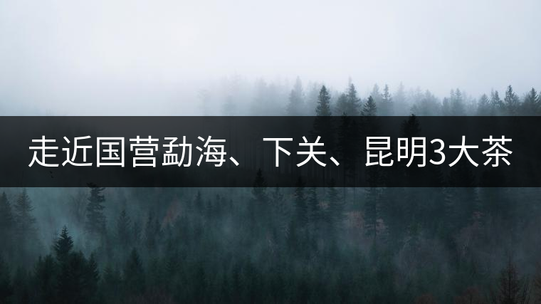 走近國(guó)營(yíng)勐海、下關(guān)、昆明3大茶廠，傳世代表作的發(fā)展詳...走近國(guó)營(yíng)勐海、下關(guān)、昆明3大茶廠，傳世代表作的發(fā)展詳解