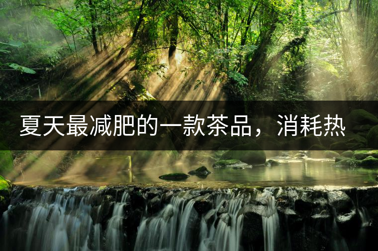 夏天最減肥的一款茶品，消耗熱量，此茶燃燒你的卡路里