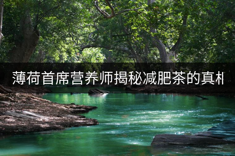 薄荷首席營(yíng)養(yǎng)師揭秘減肥茶的真相！