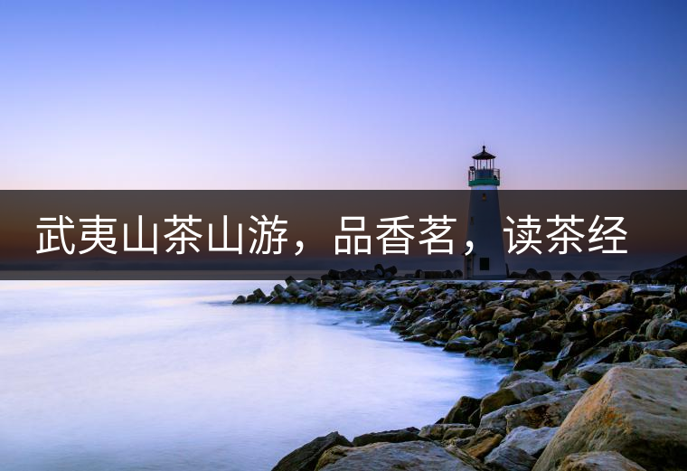 武夷山茶山游，品香茗，讀茶經(jīng)，賞茶景，學茶歷史!武夷山茶山游，品香茗，讀茶經(jīng)，賞茶景，學茶歷史！