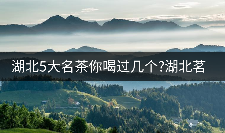 湖北5大名茶你喝過幾個(gè)?湖北茗茶的歷史故事?湖北茶哪...湖北5大名茶你喝過幾個(gè)？湖北茗茶的歷史故事？湖北茶哪個(gè)產(chǎn)地好