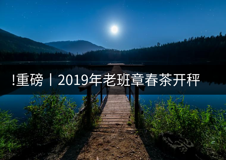 !重磅丨2019年老班章春茶開(kāi)秤，一筆定價(jià)？如此出人意料！