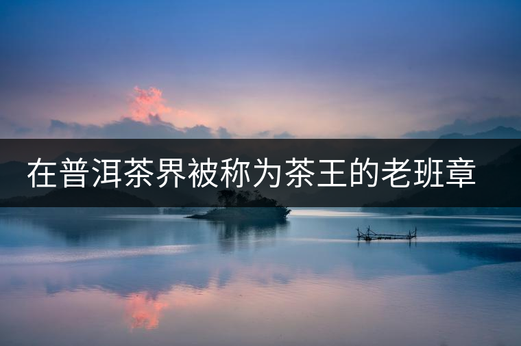 在普洱茶界被稱為茶王的老班章，為何有人愛有人恨？