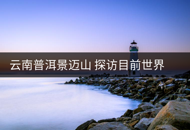 云南普洱景邁山 探訪目前世界上面積最大、年代最久遠(yuǎn)的古茶園