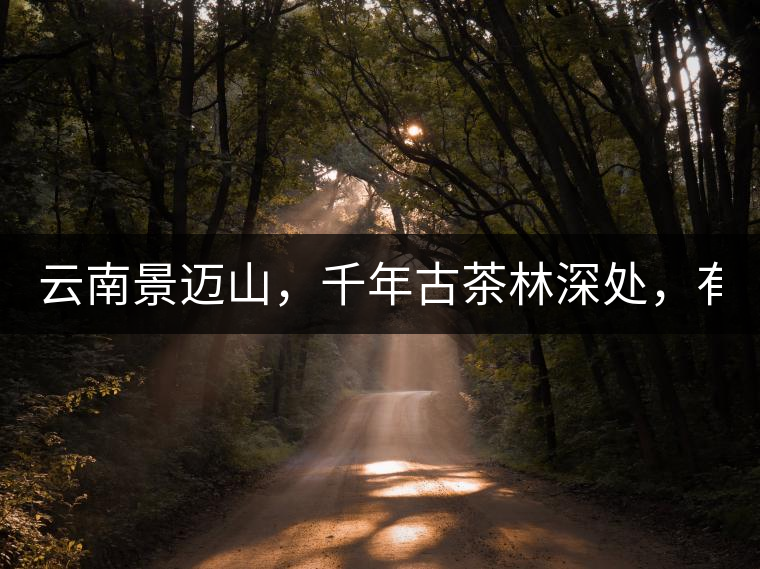 云南景邁山，千年古茶林深處，有一座世外桃源般的糯...云南景邁山，千年古茶林深處，有一座世外桃源般的糯干古寨