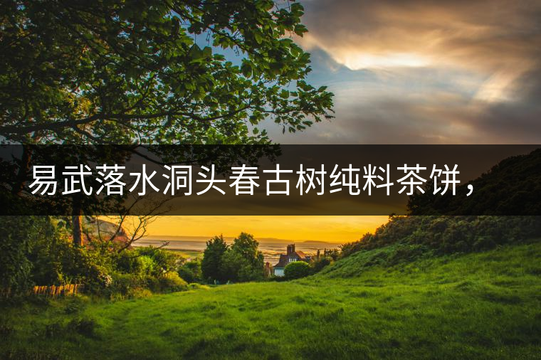 易武落水洞頭春古樹純料茶餅，實(shí)現(xiàn)原料和工藝的兩優(yōu)結(jié)合