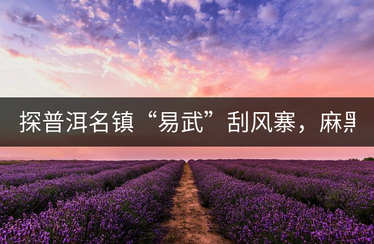 探普洱名鎮(zhèn)“易武”刮風寨，麻黑，落水洞!小編親自下...探普洱名鎮(zhèn)“易武”刮風寨，麻黑，落水洞！小編親自下手“殺青”