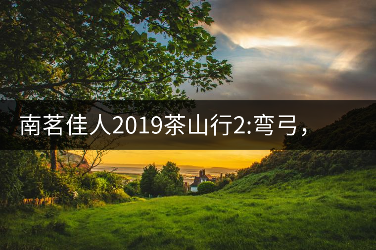南茗佳人2019茶山行2:彎弓，一路艱辛，只為這有生命...南茗佳人2019茶山行2：彎弓，一路艱辛，只為這有生命厚度的茶！
