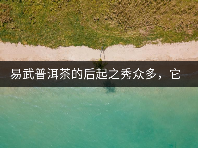 易武普洱茶的后起之秀眾多，它是還沒(méi)漲價(jià)的一個(gè)！