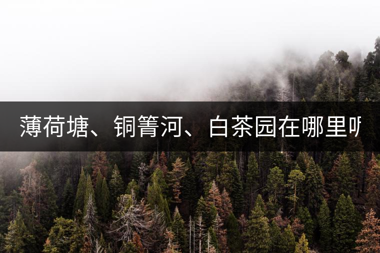 薄荷塘、銅箐河、白茶園在哪里呢?薄荷塘、銅箐河、白茶園在哪里呢？