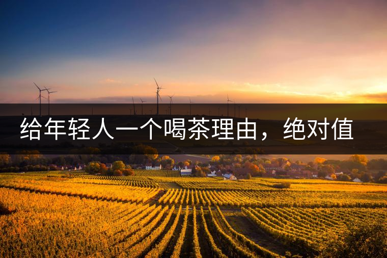 給年輕人一個喝茶理由，絕對值得收藏的茶葉包裝給年輕人一個喝茶理由，絕對值得收藏的茶葉包裝