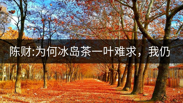 陳財:為何冰島茶一葉難求，我仍然堅持