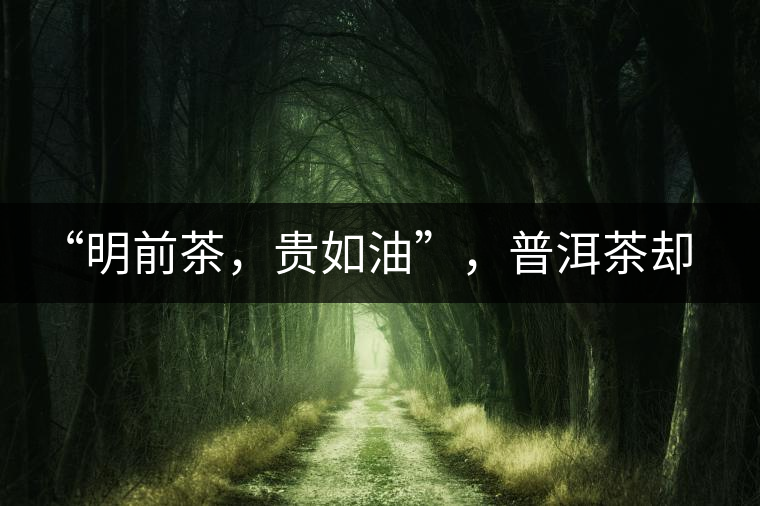 “明前茶，貴如油”，普洱茶卻不這么認為“明前茶，貴如油”，普洱茶卻不這么認為