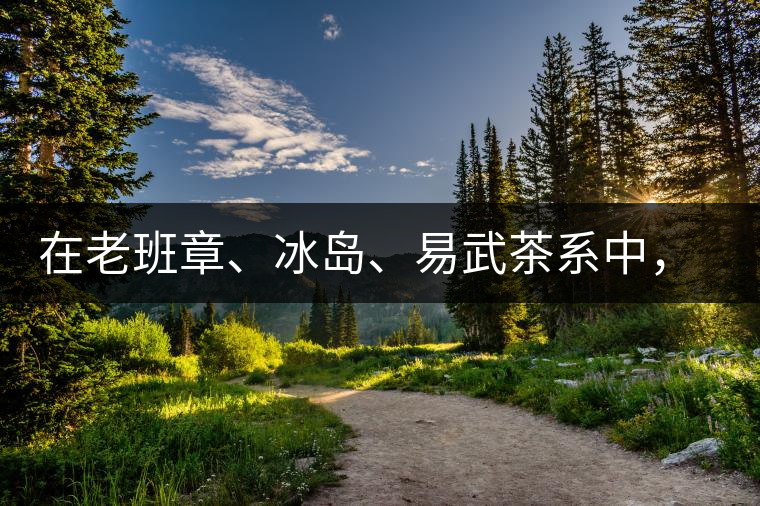 在老班章、冰島、易武茶系中，誰的潛力最大？
