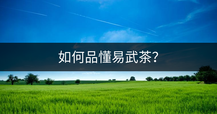 如何品懂易武茶？