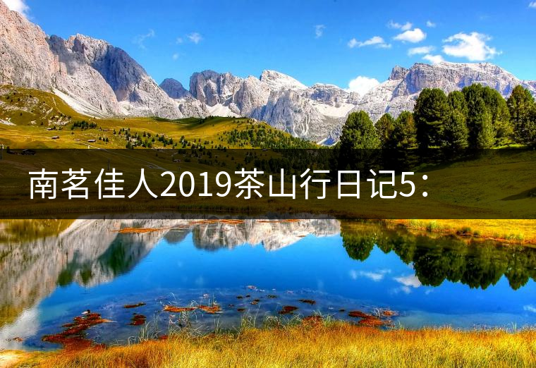 南茗佳人2019茶山行日記5：麻黑——最具代表性的易武茶