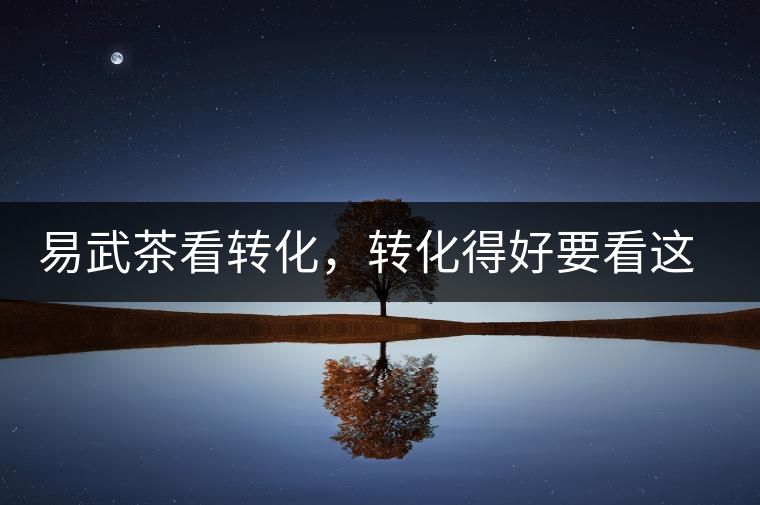 易武茶看轉(zhuǎn)化，轉(zhuǎn)化得好要看這三要素及品牌優(yōu)勢！