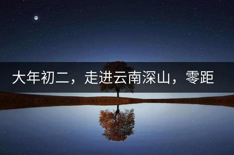 大年初二，走進(jìn)云南深山，零距離接觸古茶樹(shù)