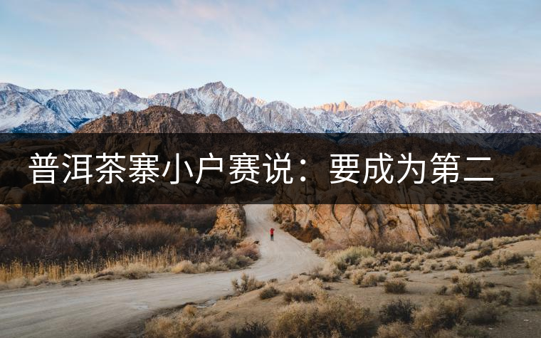 普洱茶寨小戶(hù)賽說(shuō)：要成為第二個(gè)冰島，勐庫(kù)普洱茶圈都爆了！